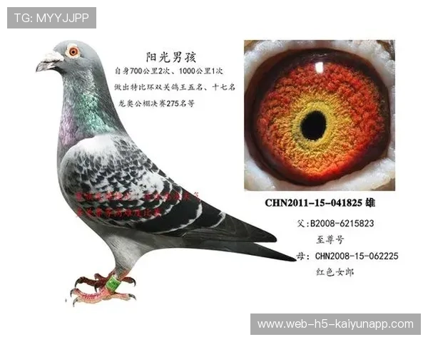 保定华信主场获胜，积分榜位置有所上升，2021华信信鸽俱乐部