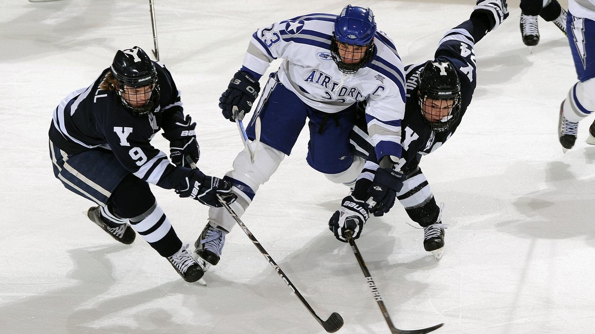 体育赛事志愿者招募启动仪式，体育赛事志愿者招募启动仪式讲话