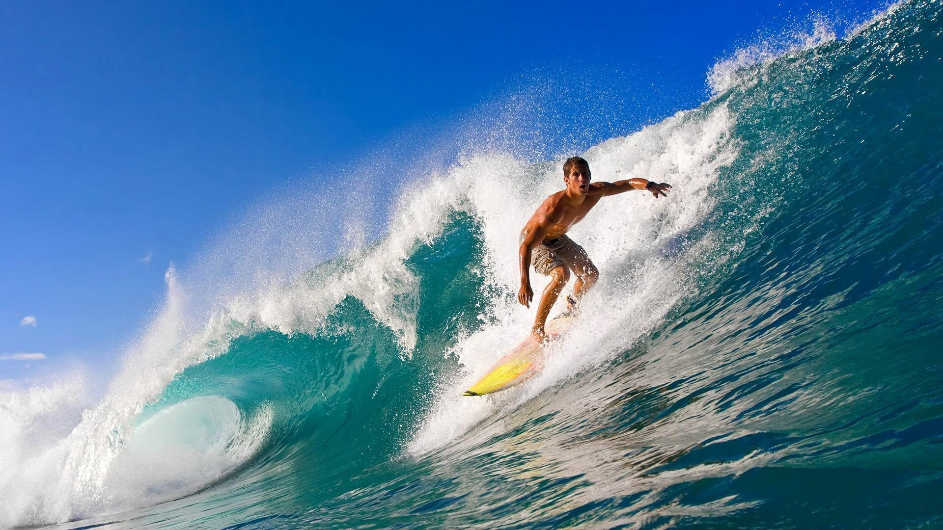 动作规范性与世界顶级选手标准接轨，动作规范下句接什么