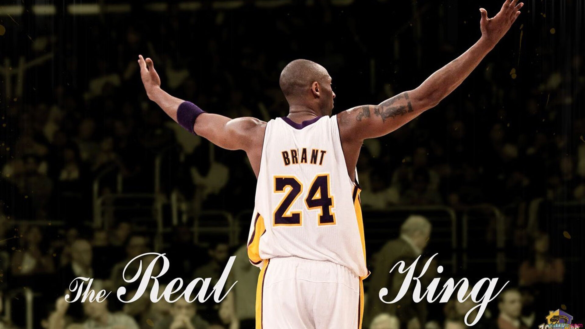 欧洲杯期间球迷互动活动盘点，欧洲杯气氛